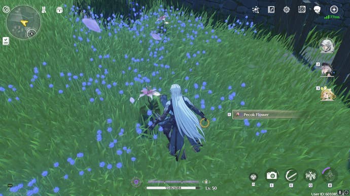 Орнамент в бирюзовых тонах. Павлин символизм. Эбру павлин. Wuthering waves flowers. Сказочный павлин.